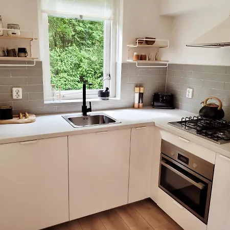 Scandinavian Wellness Met Hottub & Sauna Ferienhaus Ewijk